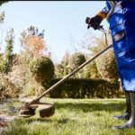 Role of Pest Control Services in Your Lawn Treatment